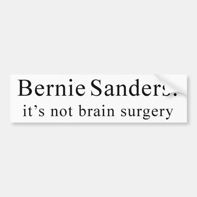 Bernie-Sandpapierschleifmaschinen: es ist nicht Autoaufkleber (Vorne)