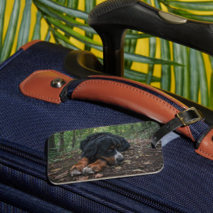 bernischer Berghund im Wald Gepäckanhänger