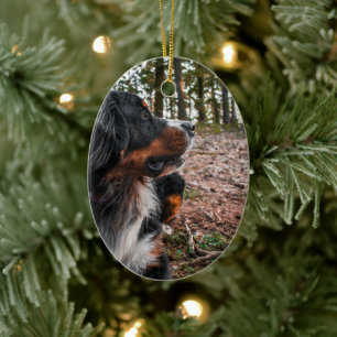 bernischer Berghund im Wald Keramik Ornament