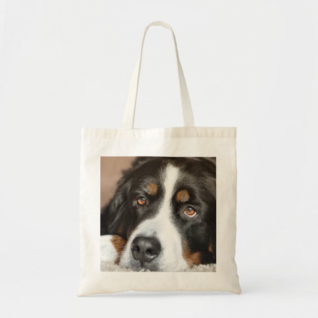 bernischer Hund Tragetasche (Vorne)