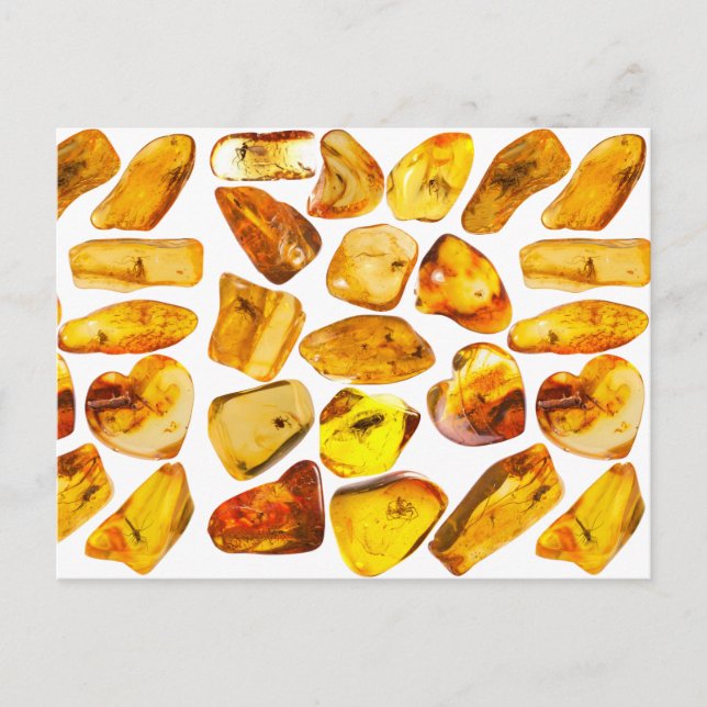 Bernsteineinschlüsse Postkarte (Vorderseite)