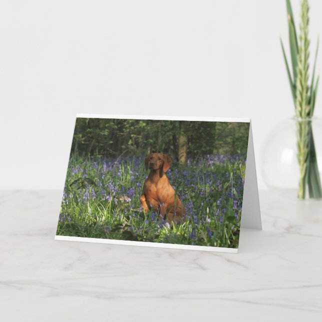 Bernsteinfarbig Karte (Vorderseite)