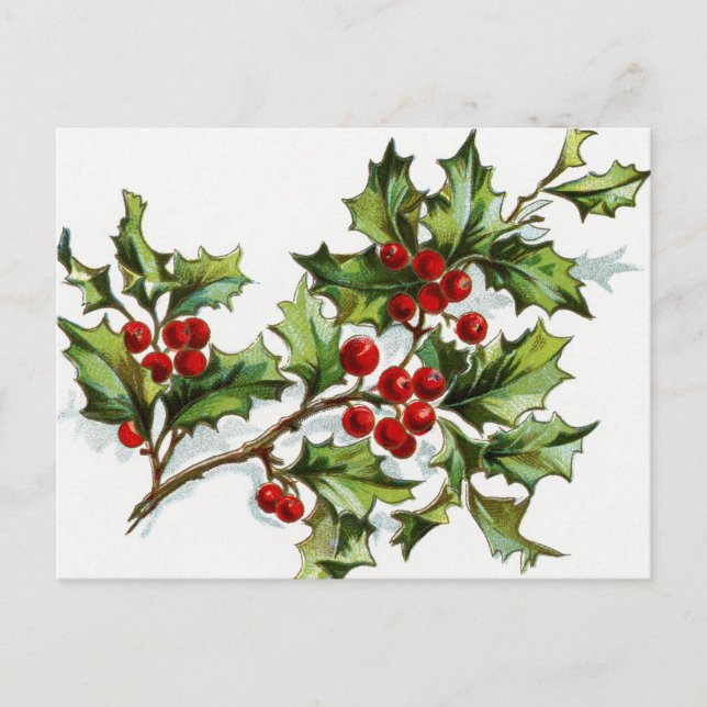 Berries001 Postkarte (Vorderseite)