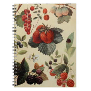 BERRIES BERRIES Notebook Notizblock