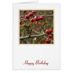 Berries Birthday Card