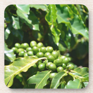 Berries Cork Untersetzer