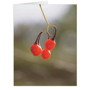 Berries fallen.
