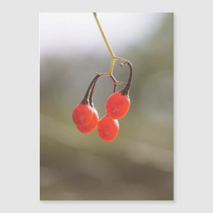 Berries fallen. magnetkarte