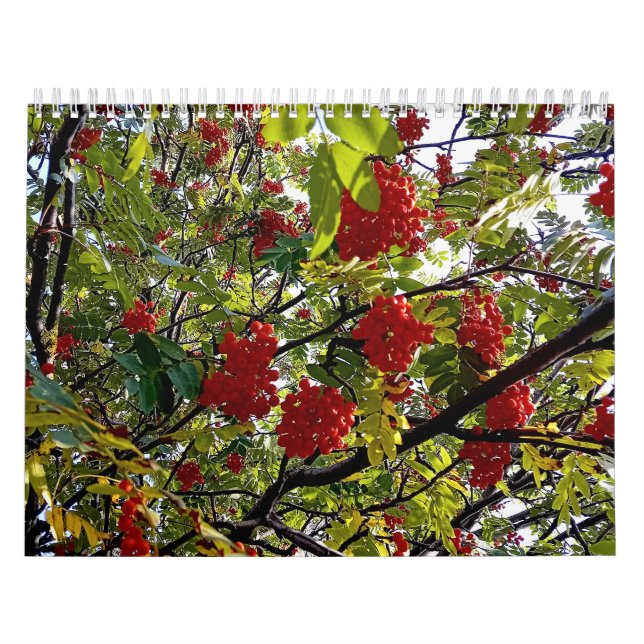 Berries Kalender (Titelbild)
