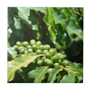 Berries Keramik Tile Fliese