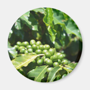 Berries Magnet