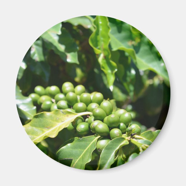 Berries Magnet (Vorne)