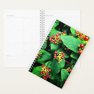 Berries Planer
