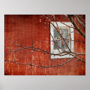 Berries und Barn Poster