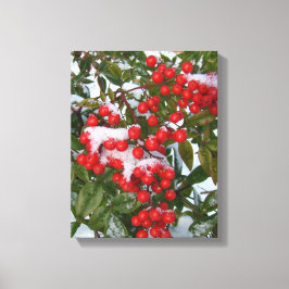 Berries und Schnee! Leinwanddruck