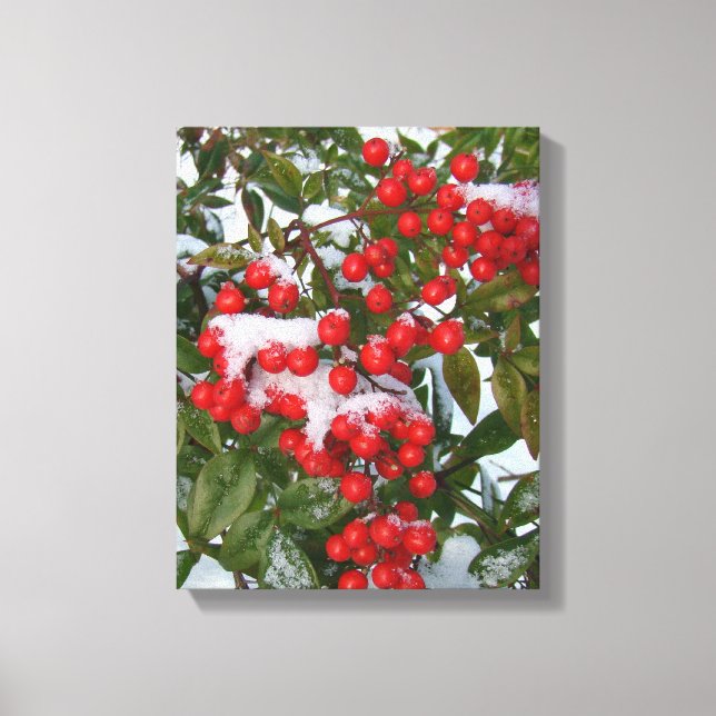 Berries und Schnee! Leinwanddruck (Vorderseite)