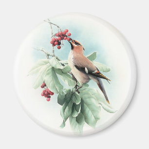 Berries zum Essen Magnet