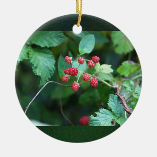 Berry Branches Ornament (Vorne)