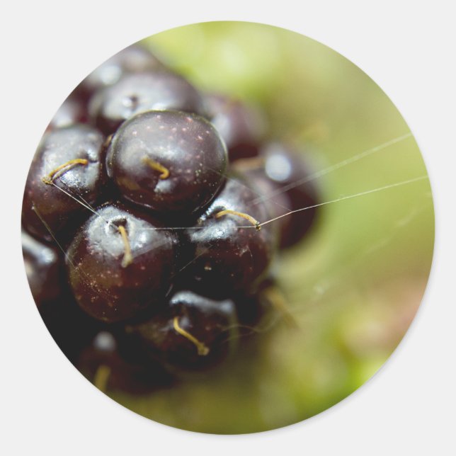 Berry Nice Runder Aufkleber (Vorderseite)