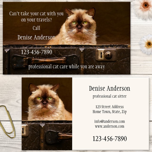 Berufliche Katzesitter-Geschäfts-Karte Visitenkarte (Business card featuring a cute grumpy cat in a travel case. Great for a cat sitter)