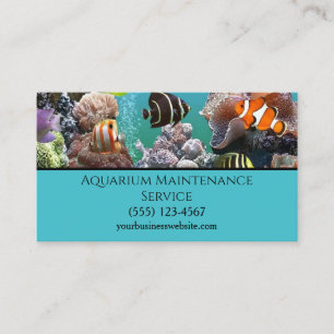 Beruflicher Service zur Pflege des Aquariums Visitenkarte