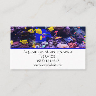 Beruflicher Service zur Pflege des Aquariums Visitenkarte