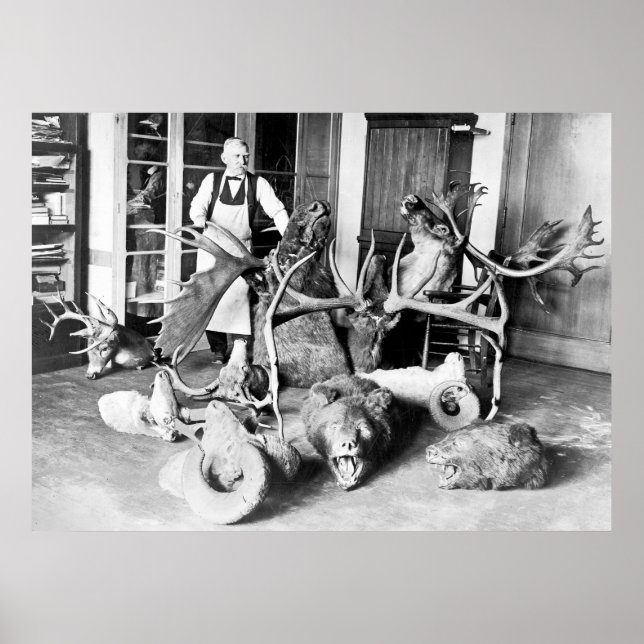 Beruflicher Taxidermist: 1923 Poster (Vorne)