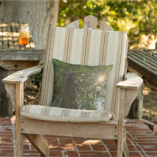 Beruhigende Sequoia mit Sunburst Nature Foto Kissen