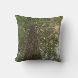 Beruhigende Sequoia mit Sunburst Nature Foto Kissen