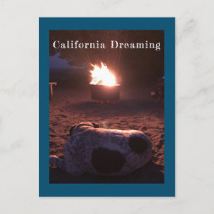 Beruhigung des schlafenden Hundes Postkarte