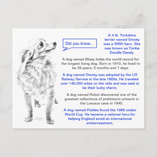 Berühmte Dogs Fun Fakten Postkarte (Vorderseite)