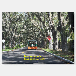 Berühmte Magnolia Ave St. Augustine, Florida Magnet
