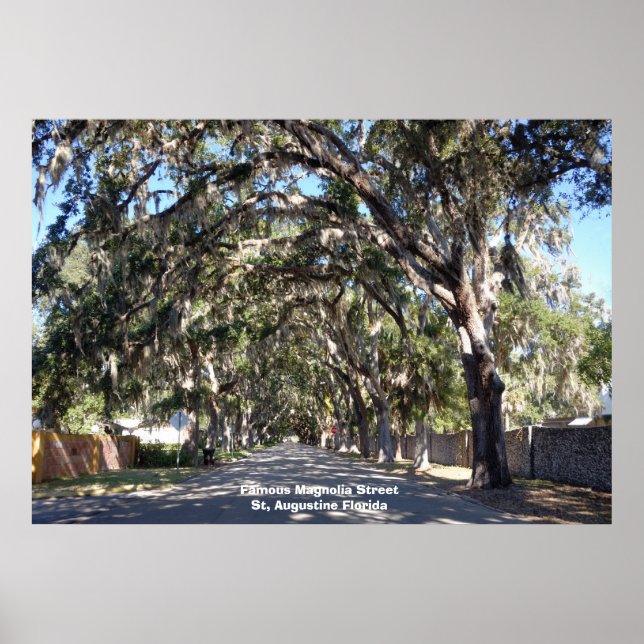 Berühmte Magnolia Street St, Augustine ... Poster (Vorne)