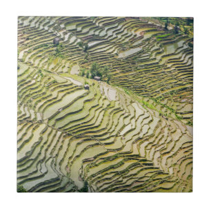 Berühmte Yuanyang-Reisterrassen - Yunnan, China Fliese