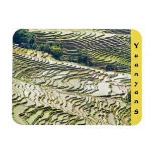 Berühmte Yuanyang-Reisterrassen - Yunnan, China Magnet
