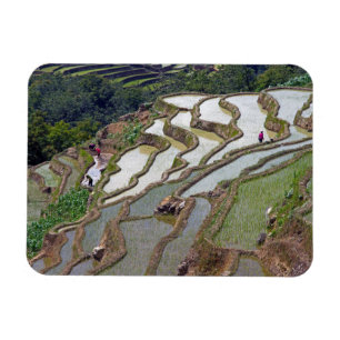 Berühmte Yuanyang-Reisterrassen - Yunnan, China Magnet