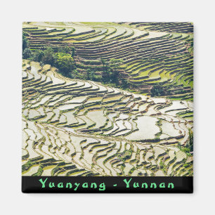 Berühmte Yuanyang-Reisterrassen - Yunnan, China Magnet