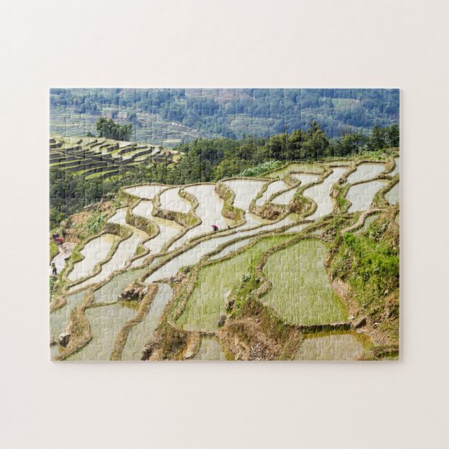 Berühmte Yuanyang Rice Terraces - Yunnan, China (Horizontal)