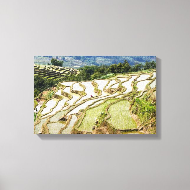 Berühmte Yuanyang Rice Terraces - Yunnan, China Leinwanddruck (Vorderseite)