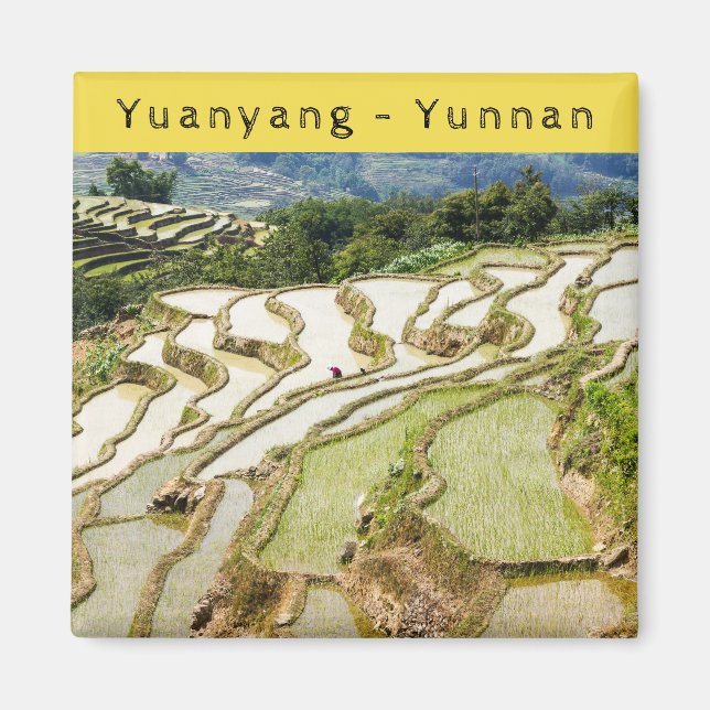 Berühmte Yuanyang Rice Terraces - Yunnan, China Magnet (Vorne)