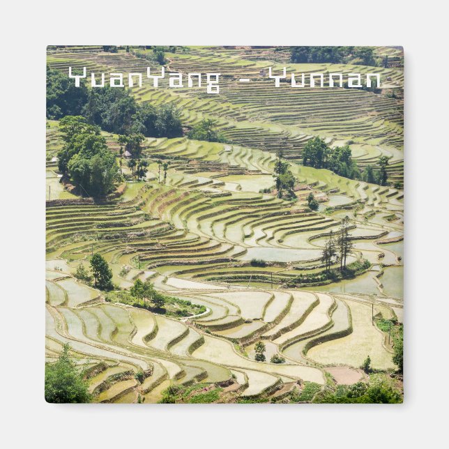 Berühmte Yuanyang Rice Terraces - Yunnan, China Magnet (Vorne)