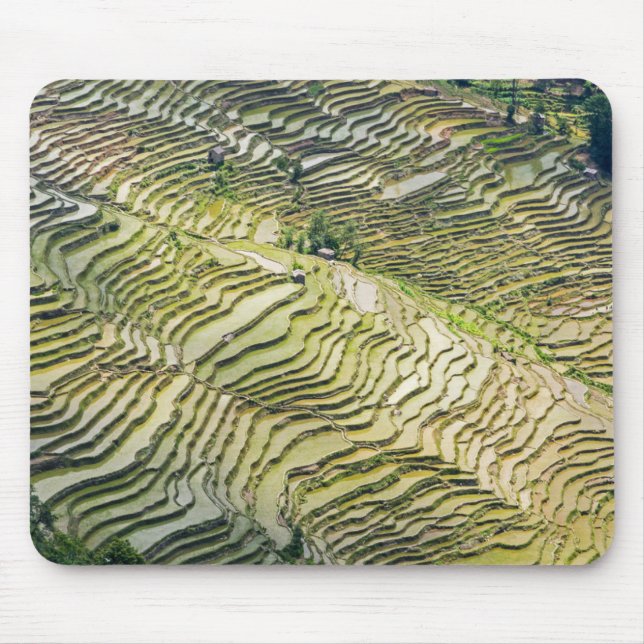 Berühmte Yuanyang Rice Terraces - Yunnan, China Mousepad (Vorne)