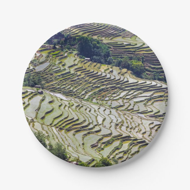 Berühmte Yuanyang Rice Terraces - Yunnan, China Pappteller (Vorderseite)