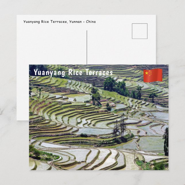 Berühmte Yuanyang Rice Terraces - Yunnan, China Postkarte (Vorne/Hinten)