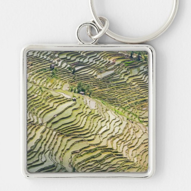 Berühmte Yuanyang Rice Terraces - Yunnan, China Schlüsselanhänger (Vorne)