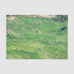 Berühmte Yuanyang Rice Terraces - Yunnan, China Seidenpapier