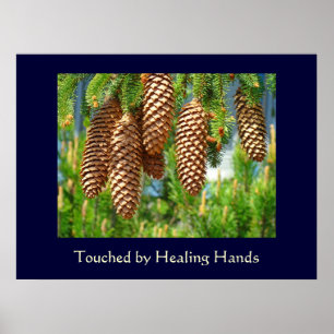 Berührt von heilenden Händen Fine Art Schwestern M Poster