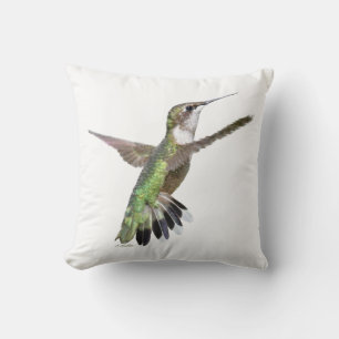 Berylline hummingbird kissen