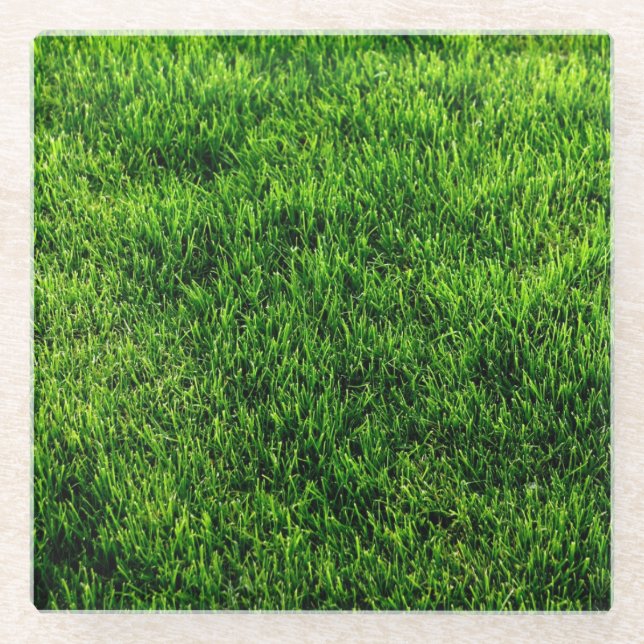 Beschaffenheit des grünen Grases von einem Glasuntersetzer (Vorderseite)
