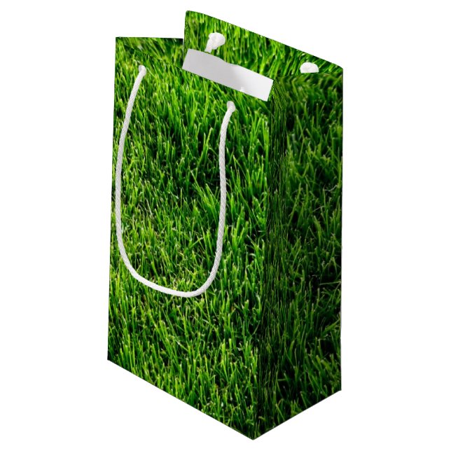 Beschaffenheit des grünen Grases von einem Kleine Geschenktüte (Rückseite Schrägansicht)